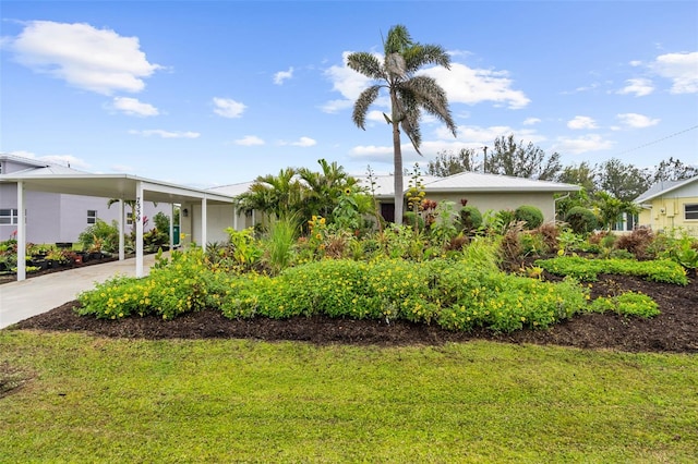 view of home's exterior with an attached carport, concrete driveway, and a yard