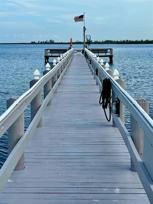 dock area with a water view