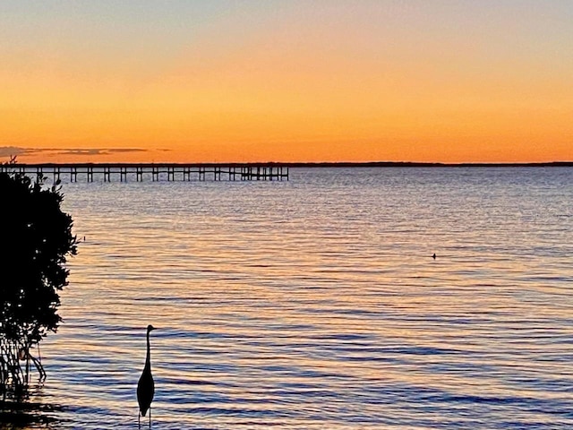 property view of water