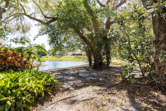 property view of water