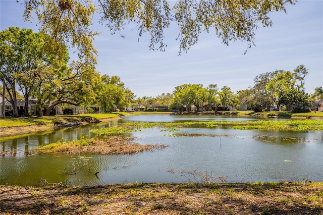 property view of water