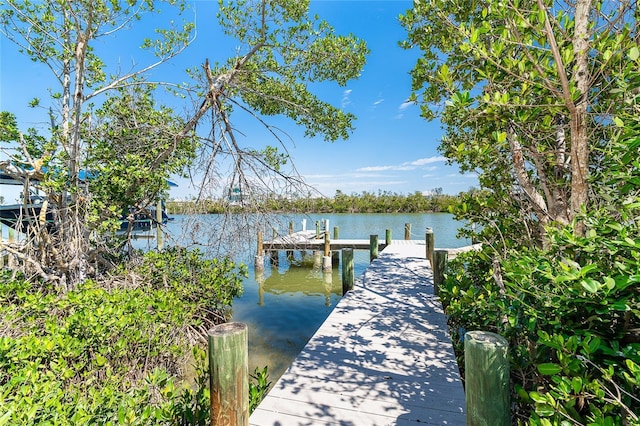 dock area with a water view