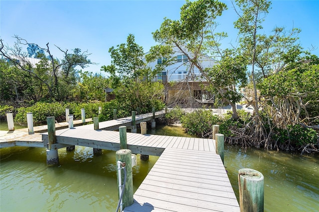 dock area featuring a water view