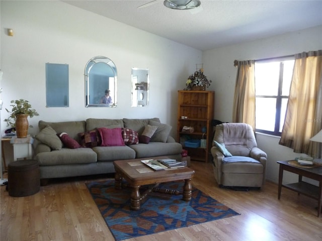 living area featuring wood finished floors and vaulted ceiling