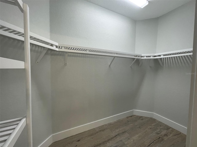 walk in closet featuring dark wood finished floors