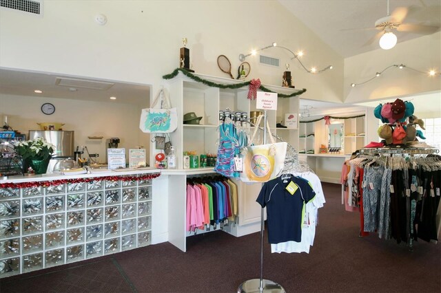5000 Gasparilla Rd Unit 41B, Boca Grande, FL 33921 - miscellaneous room with carpet and ceiling fan