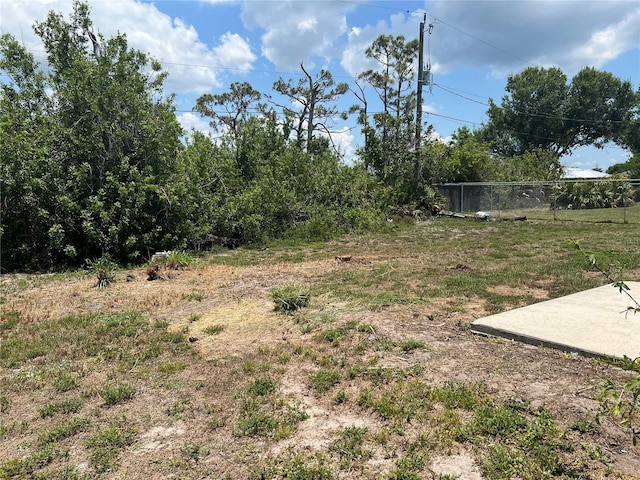 11090 Mcfadden Ave, Englewood, FL 34224 - view of yard