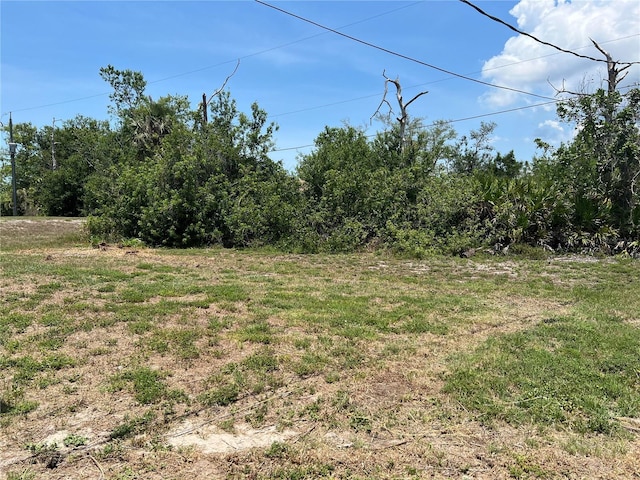 11090 Mcfadden Ave, Englewood, FL 34224 - view of undeveloped land