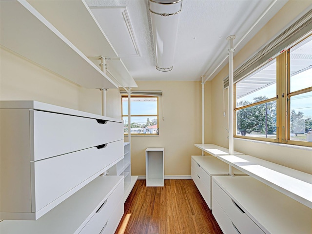 spacious closet featuring wood finished floors