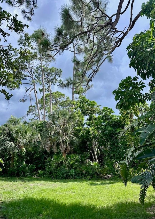 850 Van Gogh Rd, Englewood, FL 34223 - view of yard