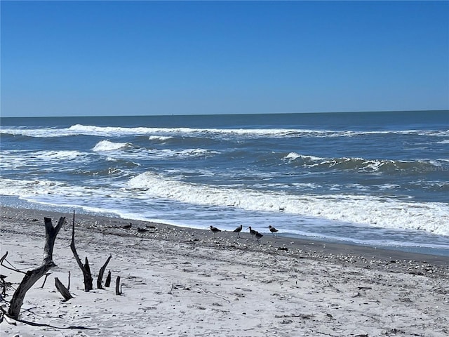 8152 Little Gasparilla Is, Placida, FL 33946 - property view of water