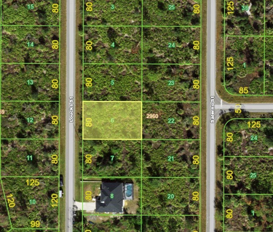 2356 Loucks St, Port Charlotte, FL 33953 - photo 2