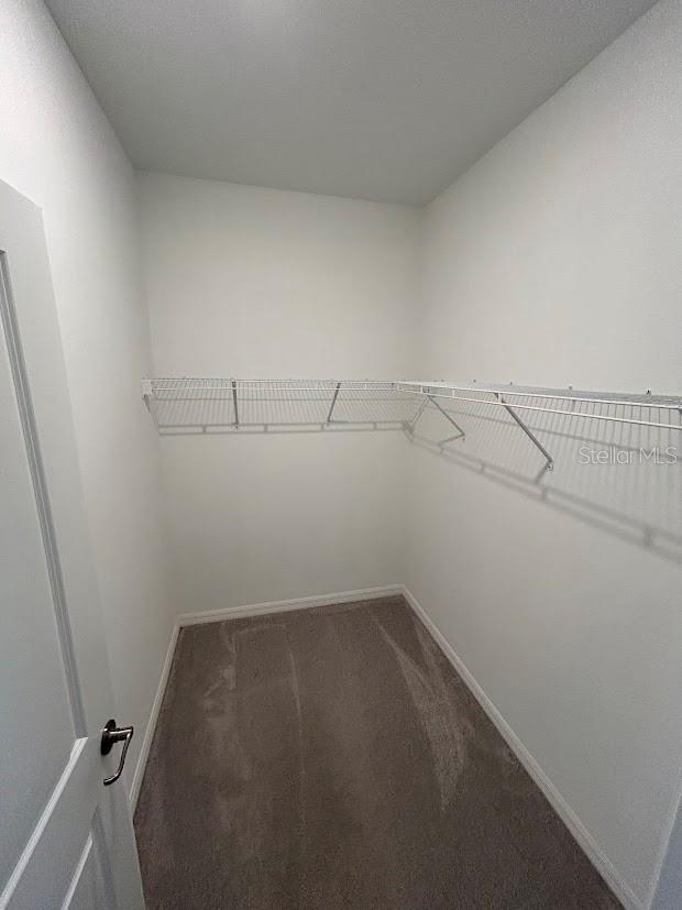 15968 Honeysuckle St, Port Charlotte, FL 33953 - walk in closet with carpet floors