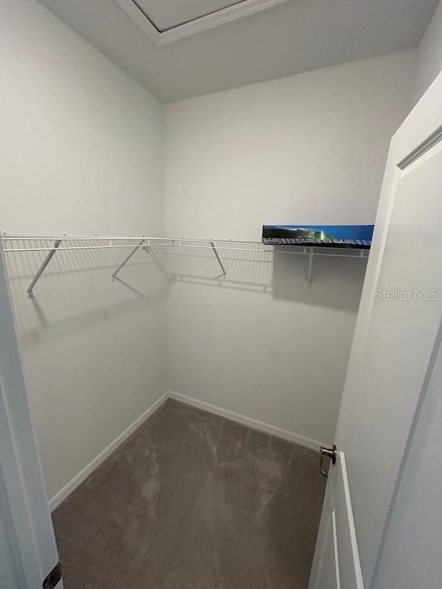 15968 Honeysuckle St, Port Charlotte, FL 33953 - spacious closet with carpet flooring