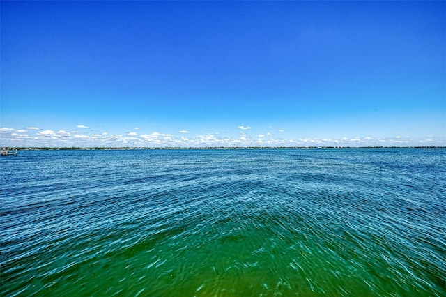 view of water feature