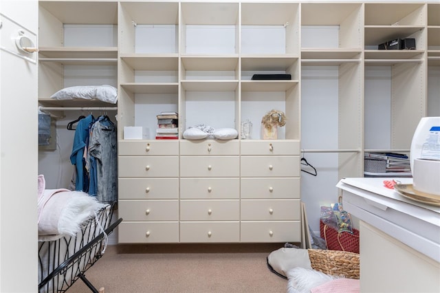 26 Saint Croix Way, Englewood, FL 34223 - spacious closet with carpet floors