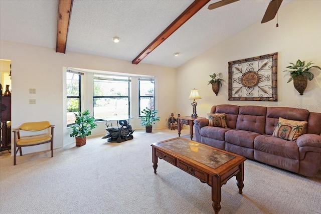 6305 Shalimar St, Port Charlotte, FL 33981 - living room with carpet, a ceiling fan, and a textured ceiling