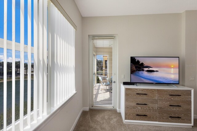 8500 Amberjack Cir Unit 102, Englewood, FL 34224 - unfurnished bedroom featuring access to exterior, baseboards, multiple windows, and carpet