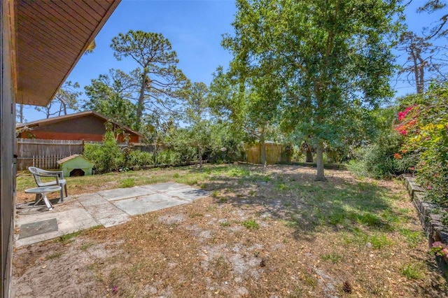 view of yard with a fenced backyard and a patio