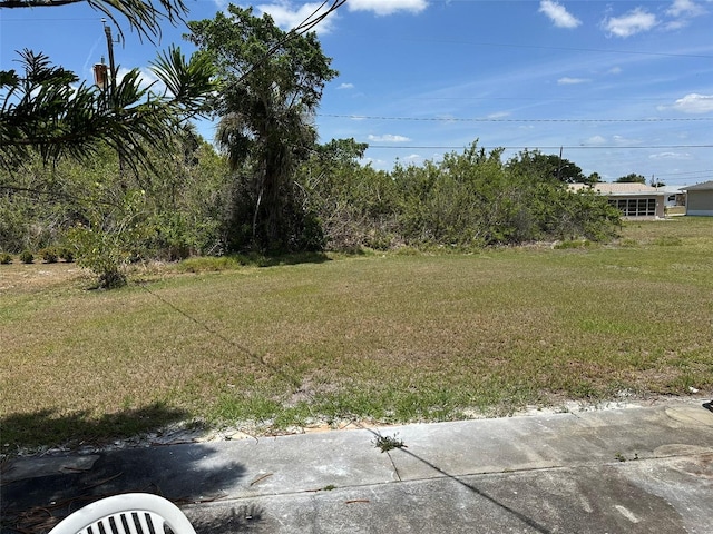 194 Garden Ave NW, Port Charlotte, FL 33952 - view of yard