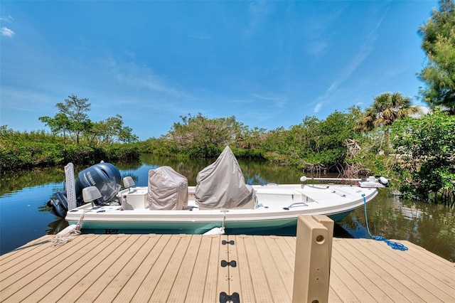 dock area featuring a water view