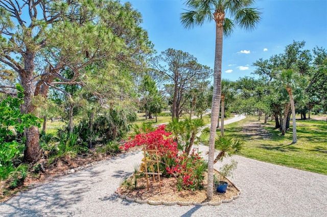 view of home's community featuring a lawn