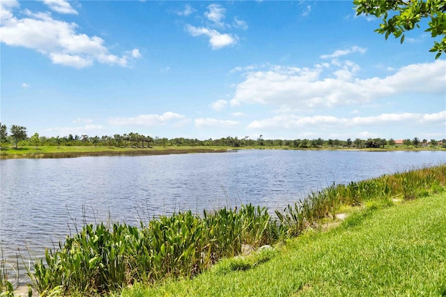 10805 Tarflower Dr Unit 101, Venice, FL 34293 - water view