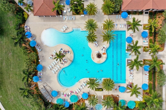 10805 Tarflower Dr Unit 101, Venice, FL 34293 - bird's eye view of a pool