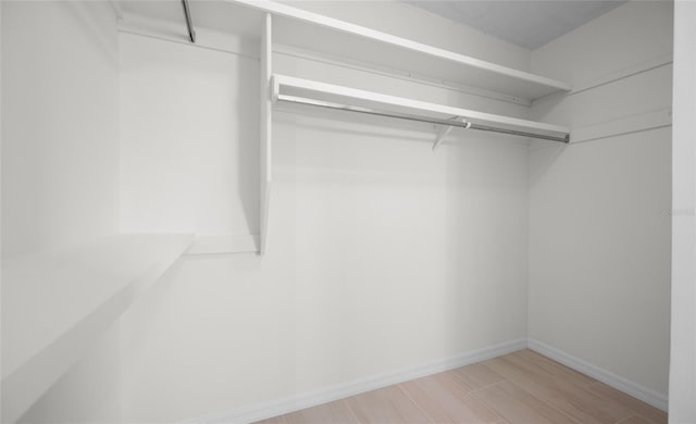 spacious closet featuring wood finished floors