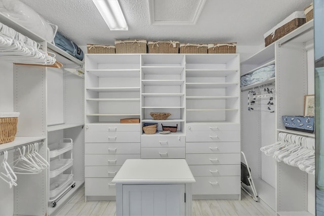 spacious closet featuring light wood finished floors