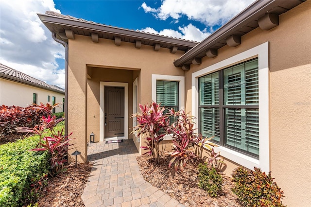 entrance to property featuring stucco siding