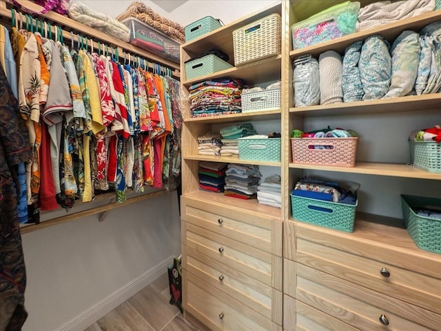 view of spacious closet