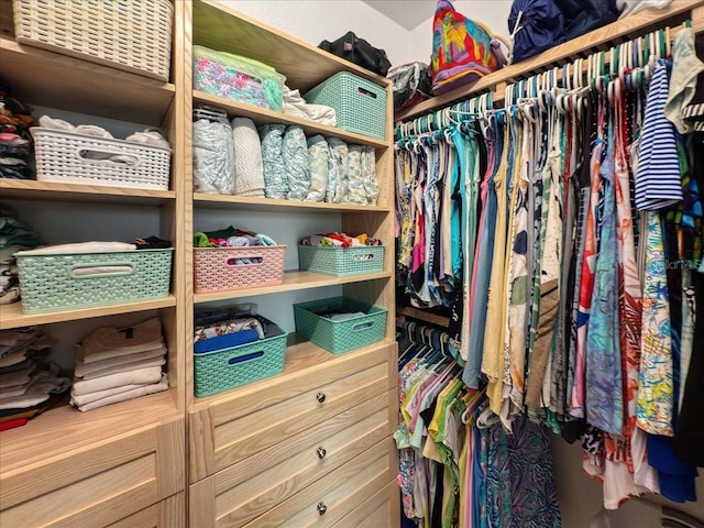 view of spacious closet