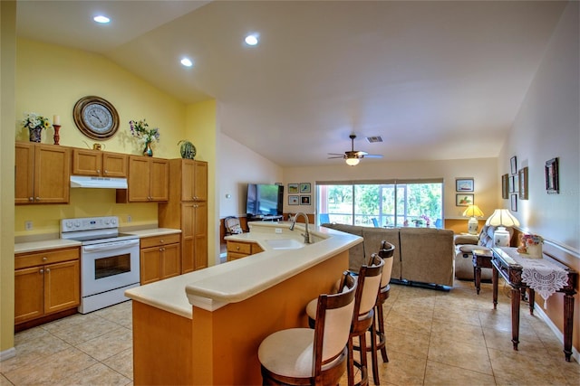 kitchen featuring a sink, vaulted ceiling, under cabinet range hood, open floor plan, and electric range