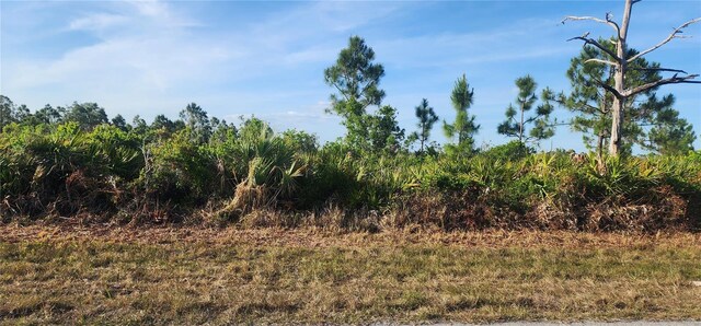 12092 Beiman Ave, Port Charlotte, FL 33981
