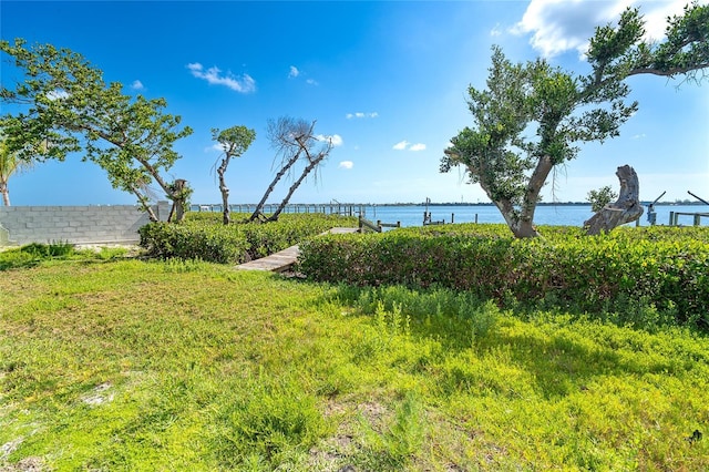 4093 Pelican Shores Cir, Englewood, FL 34223 - view of yard with a water view