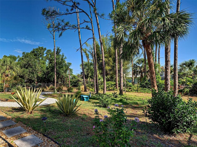 237 Rotonda Blvd E, Rotonda West, FL 33947 - view of yard