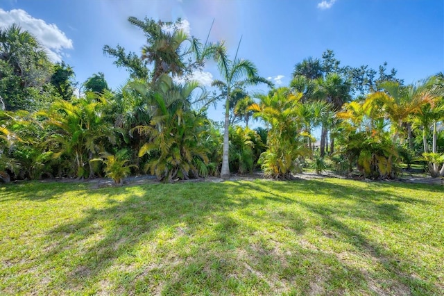 view of green lawn