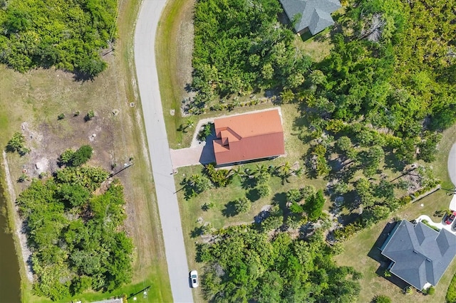 bird's eye view