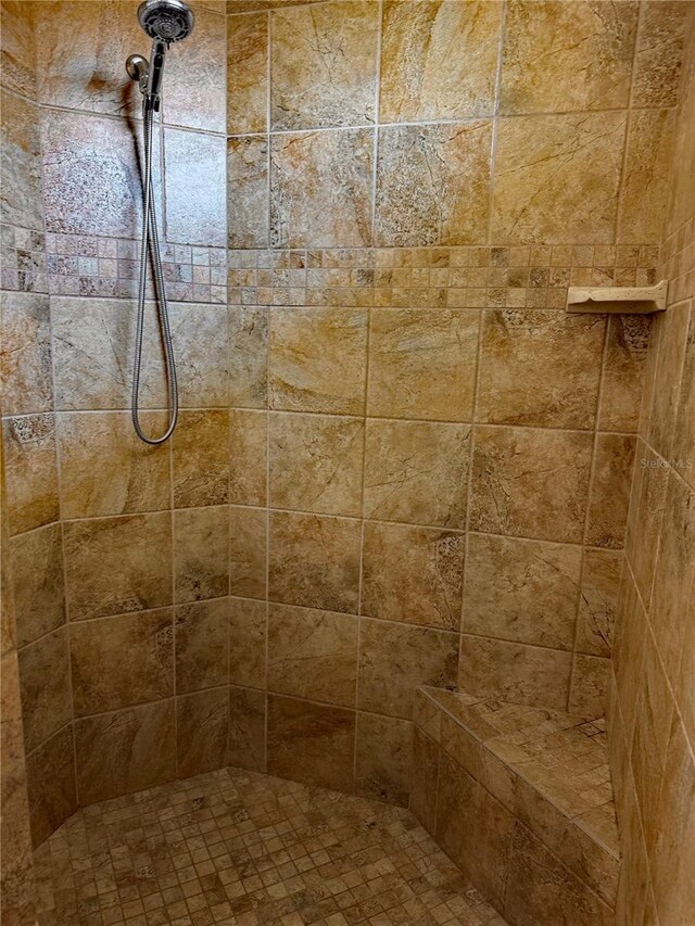 174 Broadmoor Ln, Rotonda West, FL 33947 - full bath featuring a tile shower