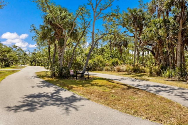 9144 Spring Valley Rd, Englewood, FL 34224 - view of asphalt road