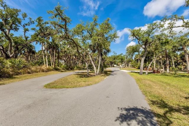 9144 Spring Valley Rd, Englewood, FL 34224 - view of asphalt street