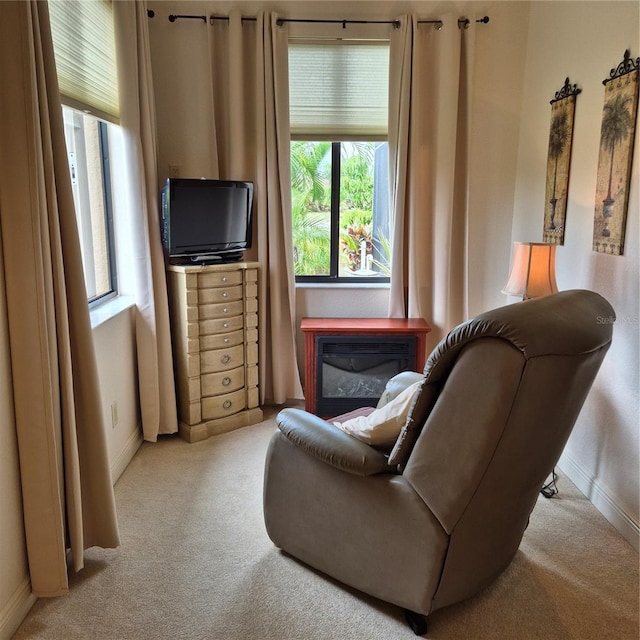 19 Medalist Way, Rotonda West, FL 33947 - living area with carpet flooring