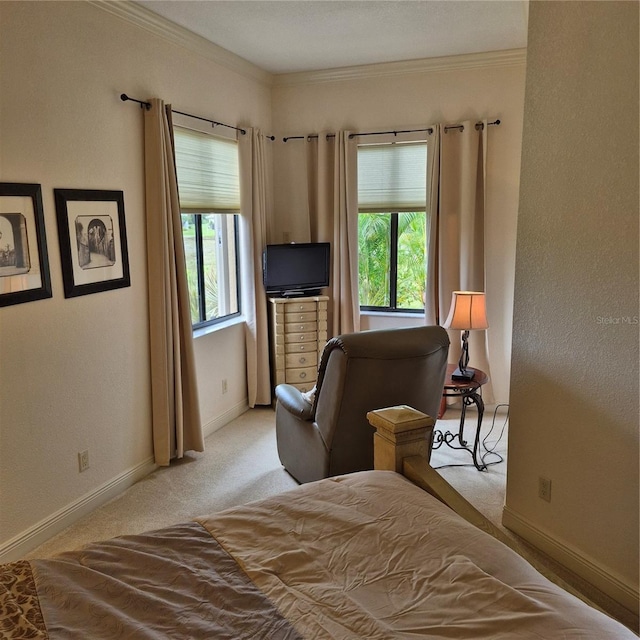 19 Medalist Way, Rotonda West, FL 33947 - bedroom with light colored carpet, multiple windows, and ornamental molding