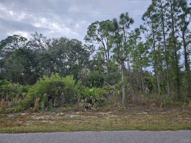 51 Baldur Dr, Port Charlotte, FL 33954