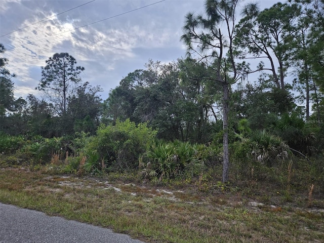 51 Baldur Dr, Port Charlotte, FL 33954