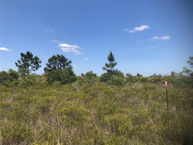 48244 Bermont Rd, Punta Gorda, FL 33982 - photo 4