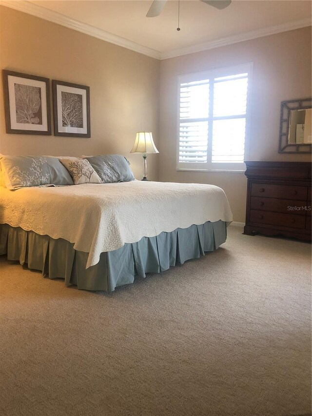 4612 Club Dr Unit D102, Port Charlotte, FL 33953 - photo 29