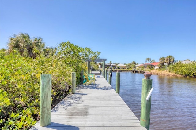 dock area with a water view