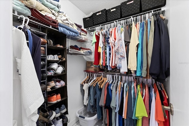 view of walk in closet